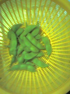 050731.jpg 050731.jpg